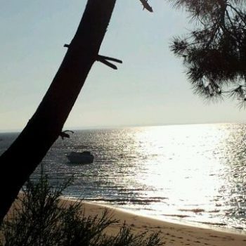 BordeauxSoYou -Dune du Pilat et bassin arcachon