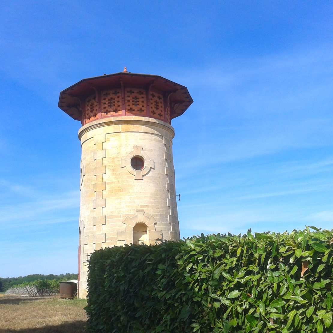 BordeauxSoYou-tarde-Wine Tour-vinedo Saint Emilion
