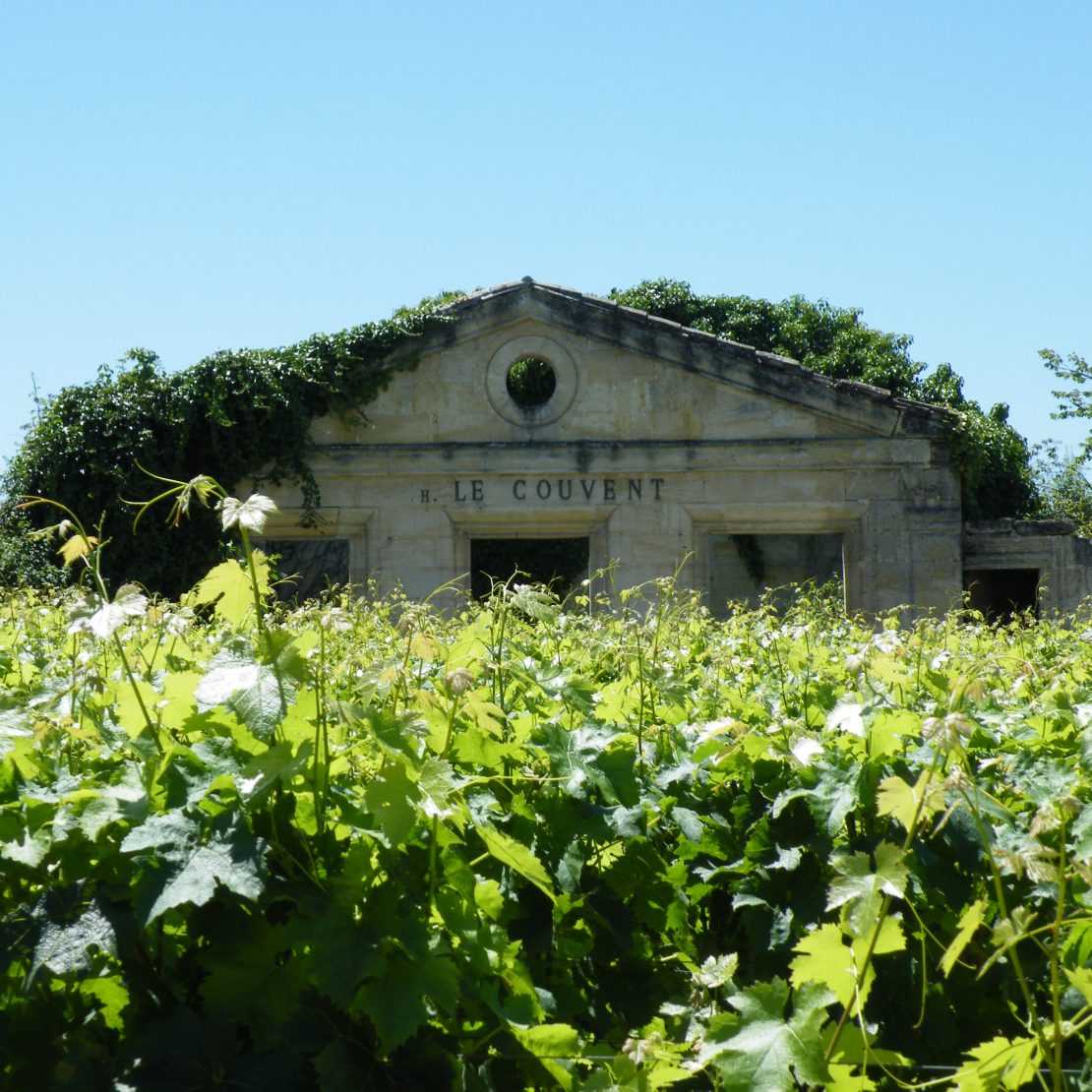 BordeauxSoYou-tarde-Wine Tour-vinedo Saint Emilion