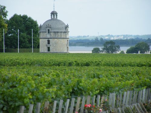 vignoble du médoc 
wine tour Bordeaux
la route des châteaux médoc