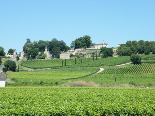 vignoble de Saint-Emilion 
wine tour Bordeaux
la route des vins de Bordeaux
