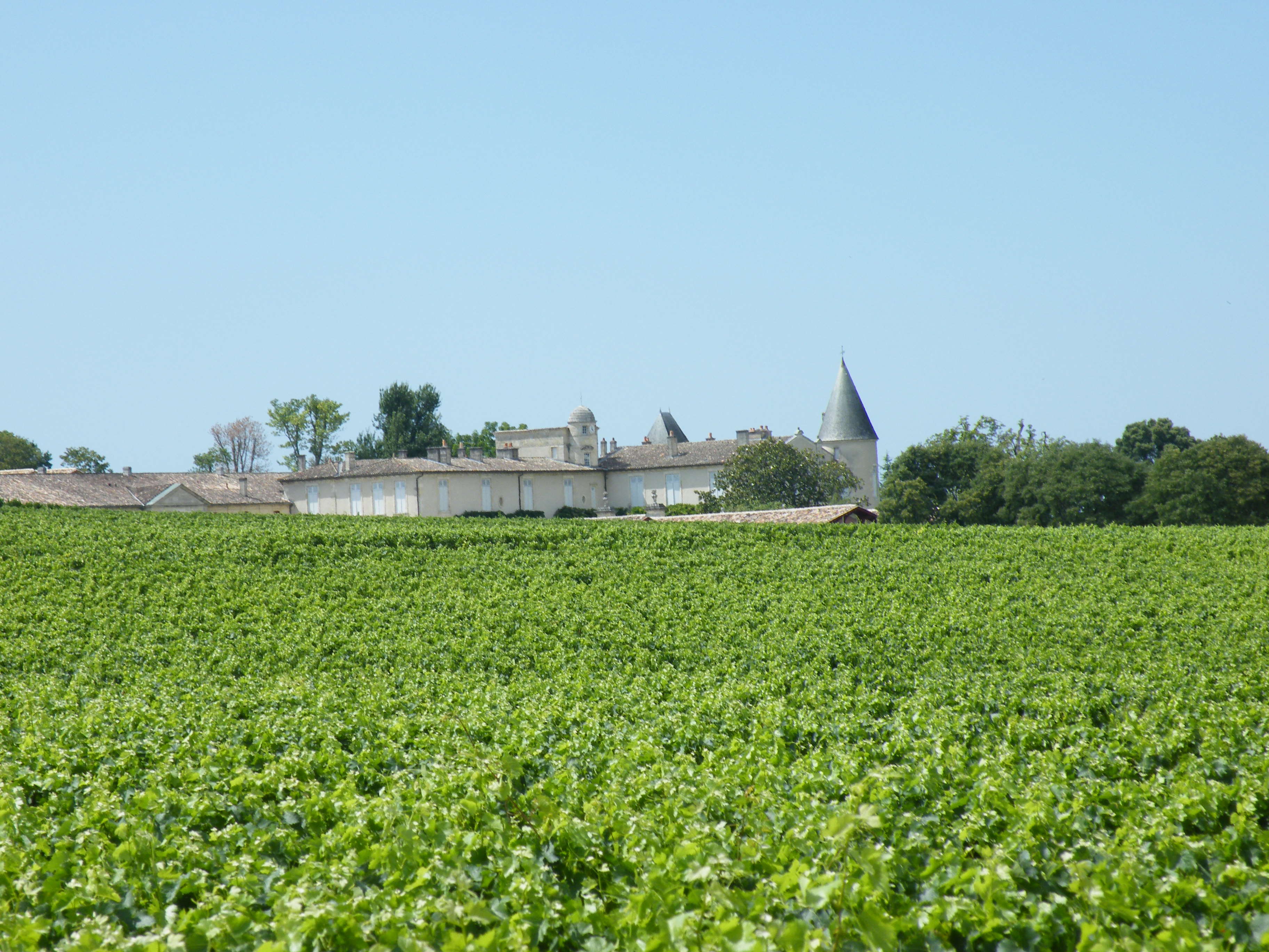 BordeauxSoYou-tarde-Wine Tour-vinedo Saint Emilion